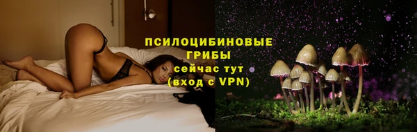 ГАЛЛЮЦИНОГЕННЫЕ ГРИБЫ Белоозёрский