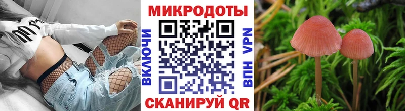 Псилоцибиновые грибы мицелий  Купить  Неман 