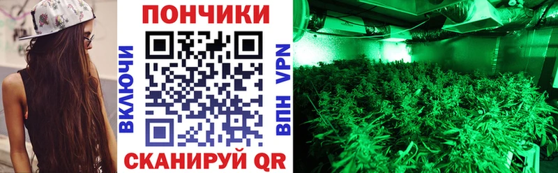 Марихуана план  Купить  Неман 